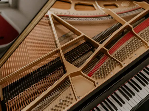 Piano strings and keyboard